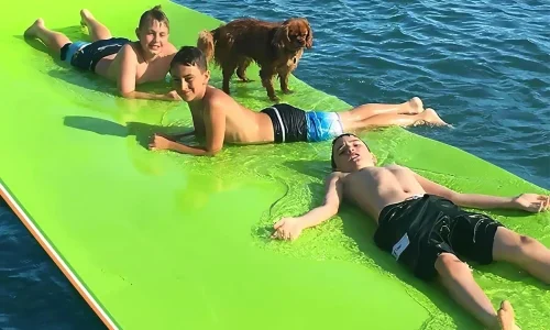 Lily-Pad-Floating-Water-Mat-3-Layer-for-Water-Recreation-and-Relaxing-ribowj3fhbtv7a1glbbgqlpkn8hmr50urxk0bhf16g